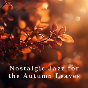 Cozy Evenings with Memories