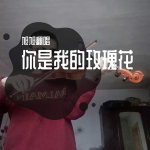 你是我的玫瑰花