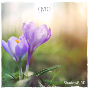 Gyre