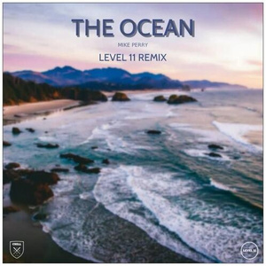 The Ocean (LEVEL 11 Remix) [Radio Edit]