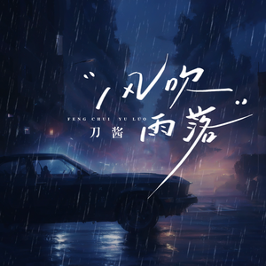 风吹雨落（DJ版）