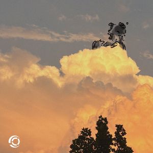 莱卡（ArrAy-P Remix）