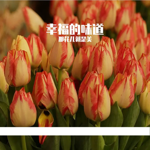 陪你去看星星 伴奏