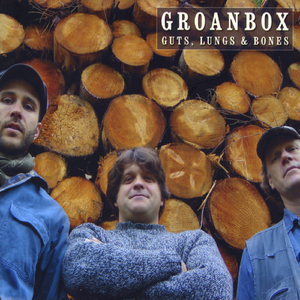 Running Down the Tiger