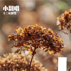 九张机（cover 叶炫清）