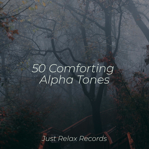 Melancholy Melodies in Shade