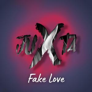 Fake Love
