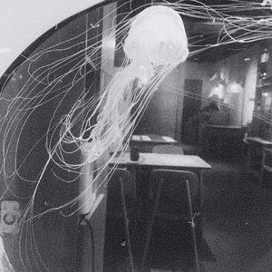 我和我的祖国-张瀚月&我哥（翻自 群星）