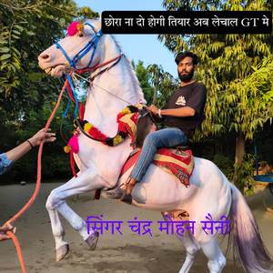 छोरा ना दो होगी तियार अब लेचाल GT मे