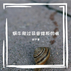 蜗牛爬过延音踏板的痕