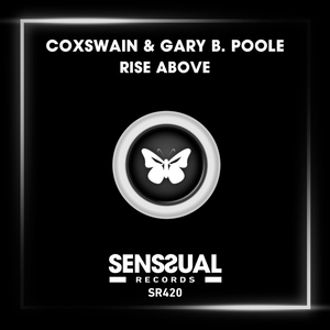 Rise Above (Original Mix)