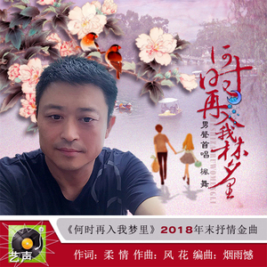 何时再入我梦里 - 枫舞