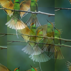 Glassful
