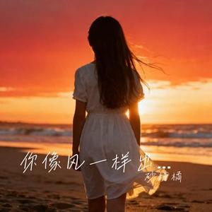 你像风一样出现
