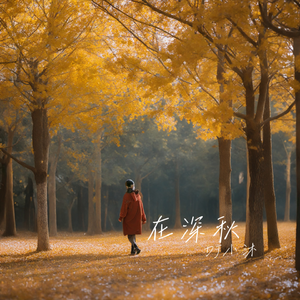 在深秋（DJ小沐 Remix）