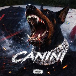 CANINI (feat. FIGO & Nuvio)