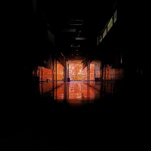 晦雾森林的月光