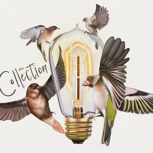 Beautiful Life (Acoustic)