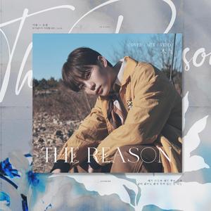 理由 (The Reason)