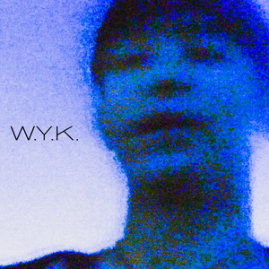 W.Y.K. (Wish You Knew)