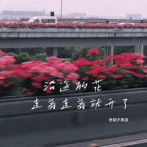 沿途的花走着走着就开了