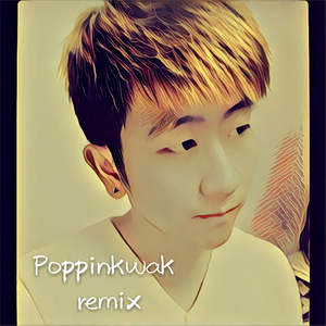 Zdenek MusicLover - 03(PoppinKwak Remix)