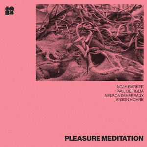 Pleasure Meditation