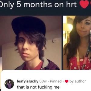 2017 Leafy (Collard Greens)