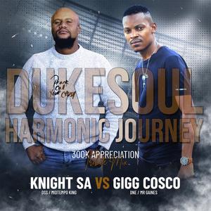 Harmonic Journey To DukeSoul (feat. Knight SA)