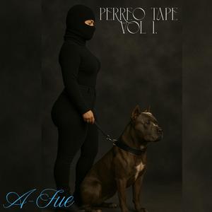 Perreo Intenso (Dani Stone Remix)