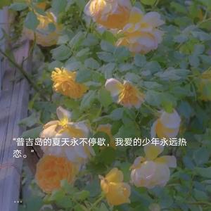 我是你的心动选手嘛~（翻自 原来是萝卜丫）