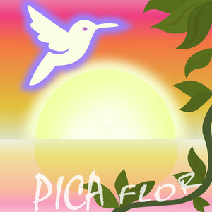 Pica Flor