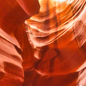 見失いそうだよ