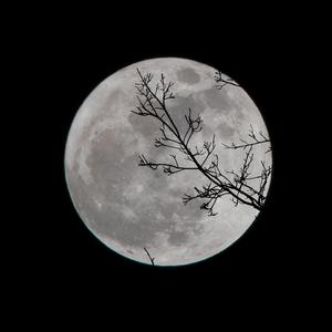 奇妙能力歌(吉他版)（翻自 亚森）