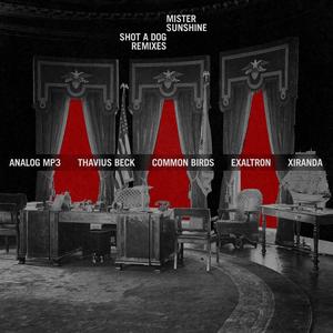 Shot A Dog (Thavius Beck Remix)