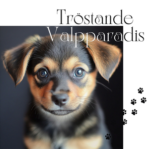 Sömnråd för Husdjur