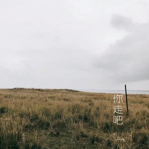 你走吧