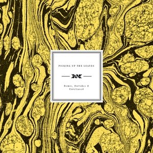 Instrumental II (Early attempt with John Renbourn)