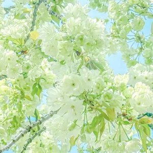 这么久没见（鼓点版）（翻自 PiMri-L）