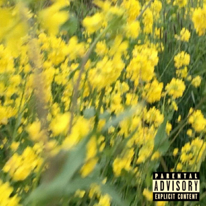 Opening: Little Girl