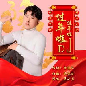 过年啦过年啦（DJ版）
