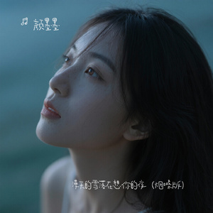 漫天的雪落在想你的夜（烟嗓版）
