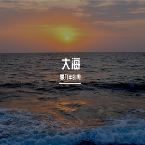 大海（零几年的傲 remix）