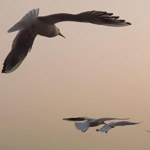 带我去很远的地方