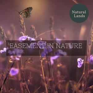 Spark of the Divine Fire