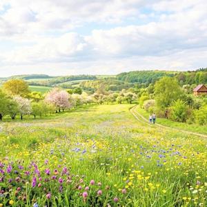 Весна привіт .