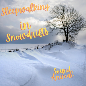 Sleepwalking in Snowdrifts