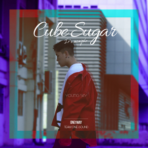 각설탕(Cube Sugar)(Young Sky solo)