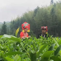 水上芭蕾镜中花