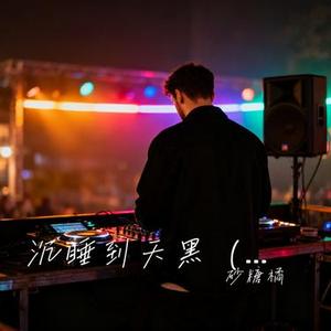 沉睡到天黑 (DJ版)
